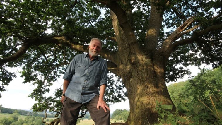 Oak Tree: Nature's Greatest Survivor